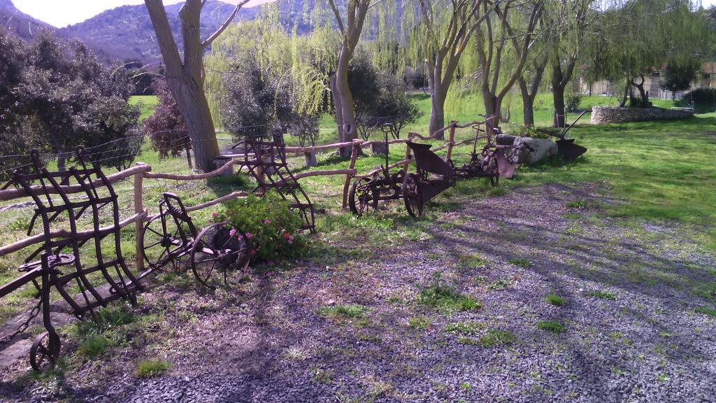 Agriturismo Cugumia Thiesi ภายนอก รูปภาพ