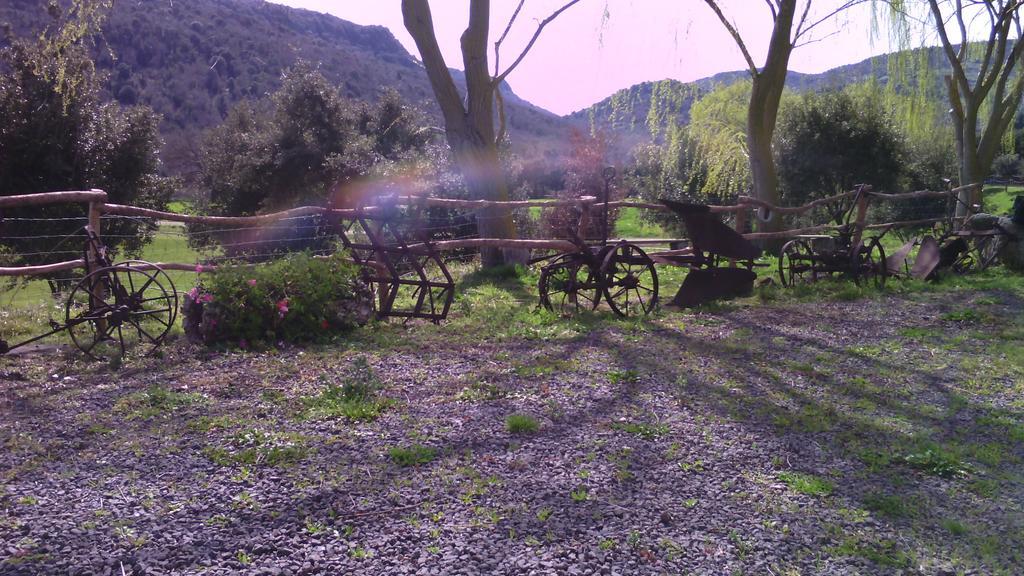 Agriturismo Cugumia Thiesi ภายนอก รูปภาพ