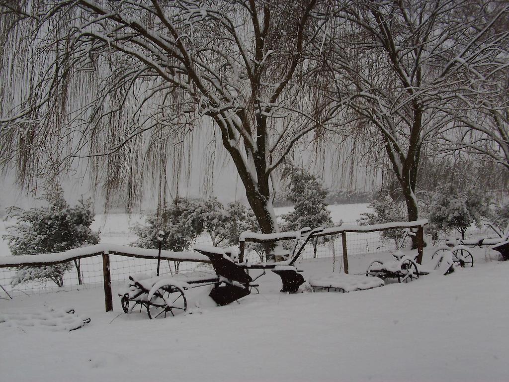 Agriturismo Cugumia Thiesi ภายนอก รูปภาพ