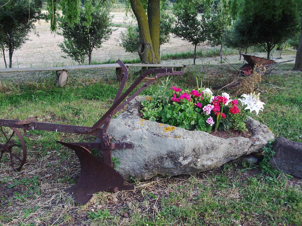 Agriturismo Cugumia Thiesi ภายนอก รูปภาพ